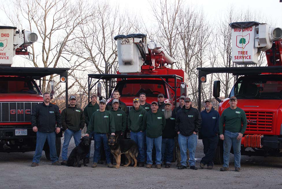 tree service crew standing next to trucks