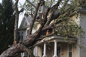 tree on home, storm damage, tree removal service