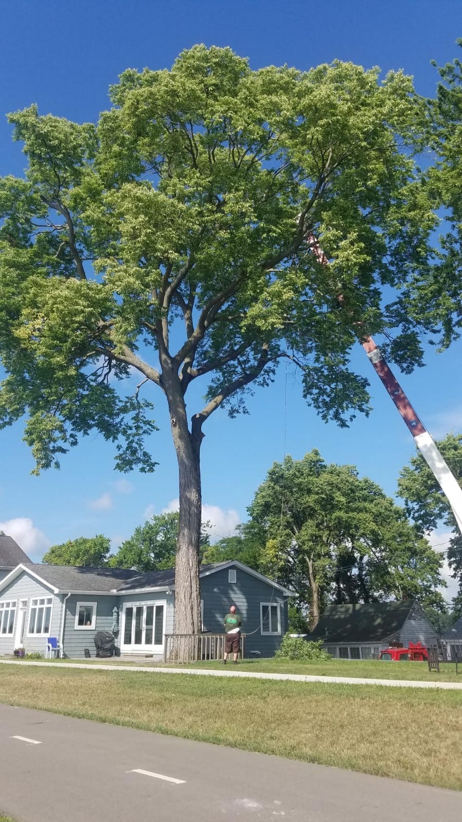 Mid Ohio Tree Service climber working a large residential tree with crane support