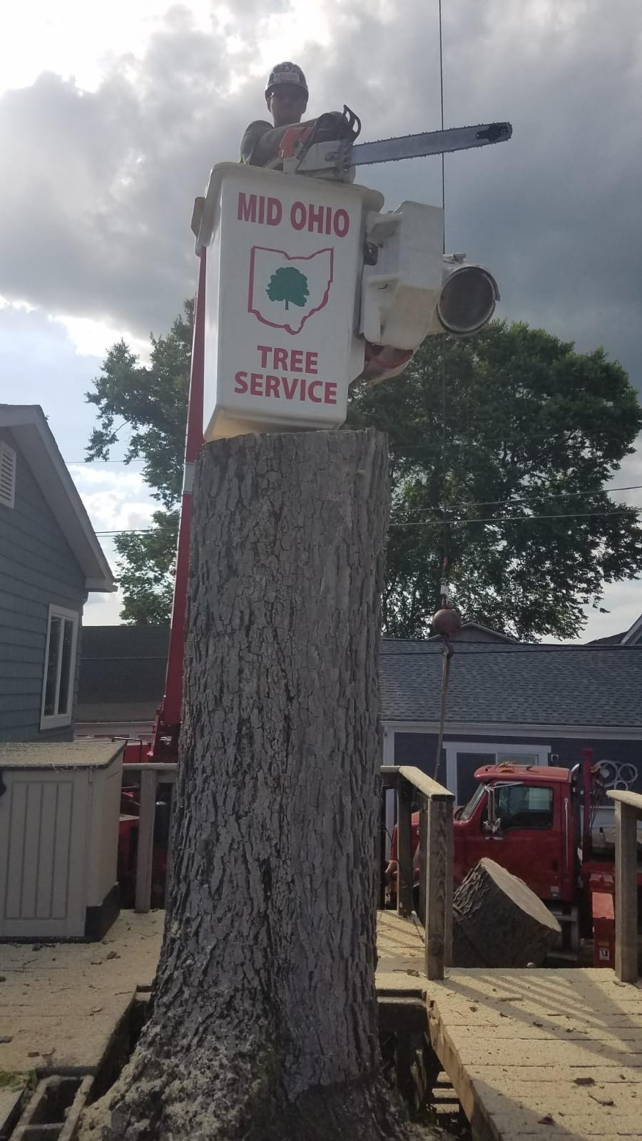 Mid Ohio Tree Service bucket-truck operator cutting a tall tree down to the stump