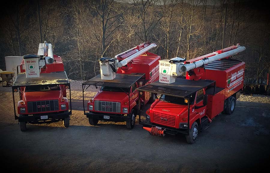 The Mid Ohio Tree Service fleet of red bucket trucks