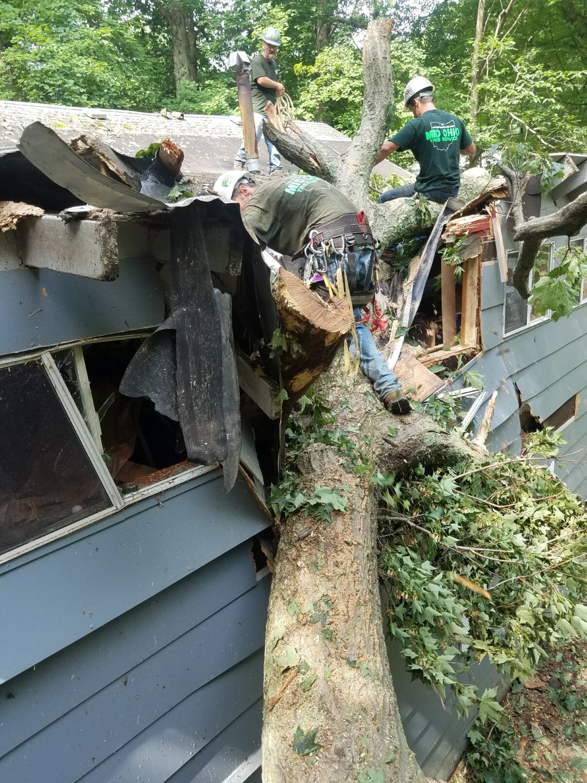 Mid Ohio Tree Service crew removing a large tree that fell on a house